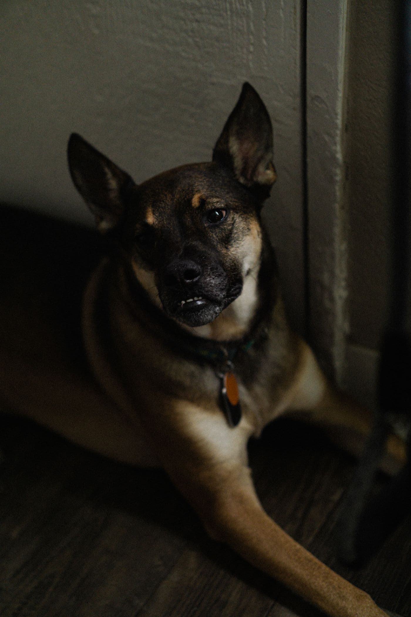 Luna — Rescue · Mixed
